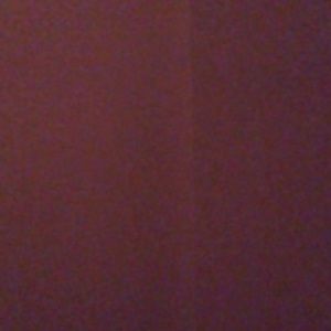 Meet your Posher, Dakota